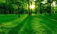 世界滑雪公开赛安全规范再升级，2021世界滑雪锦标赛开始时间