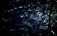 世界体能恢复科研基金第67轮资助指南与申请通道公布，国际体能大赛
