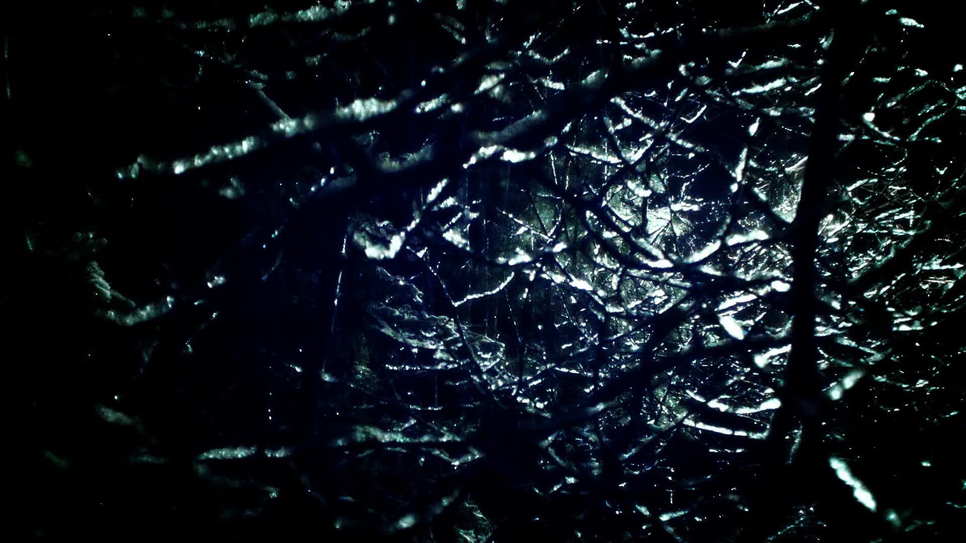 世界体能恢复科研基金第67轮资助指南与申请通道公布，国际体能大赛